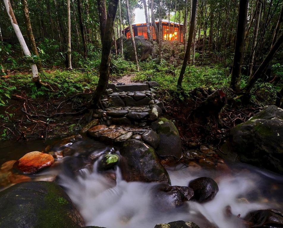 Daintree Cascades