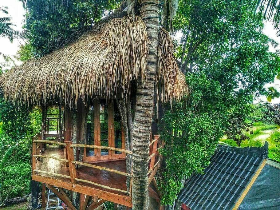 Top 10 Best Treehouses Retreat In Bali - Treehousebnb.com