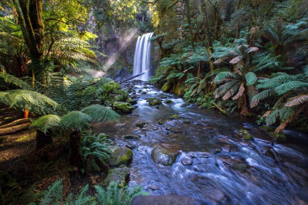 Daintree Accommodation