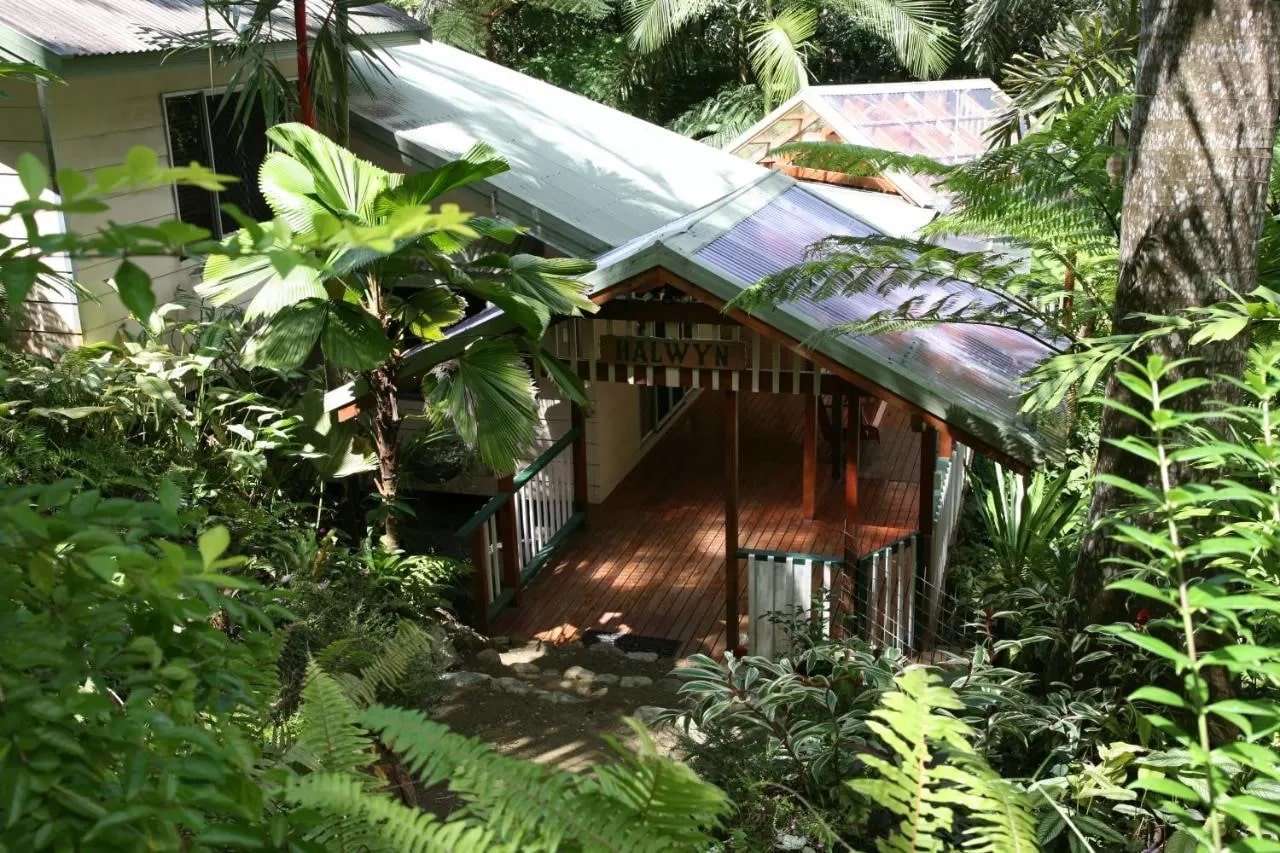 Daintree Rainforest Treehouse Accommodation | Tree Tops